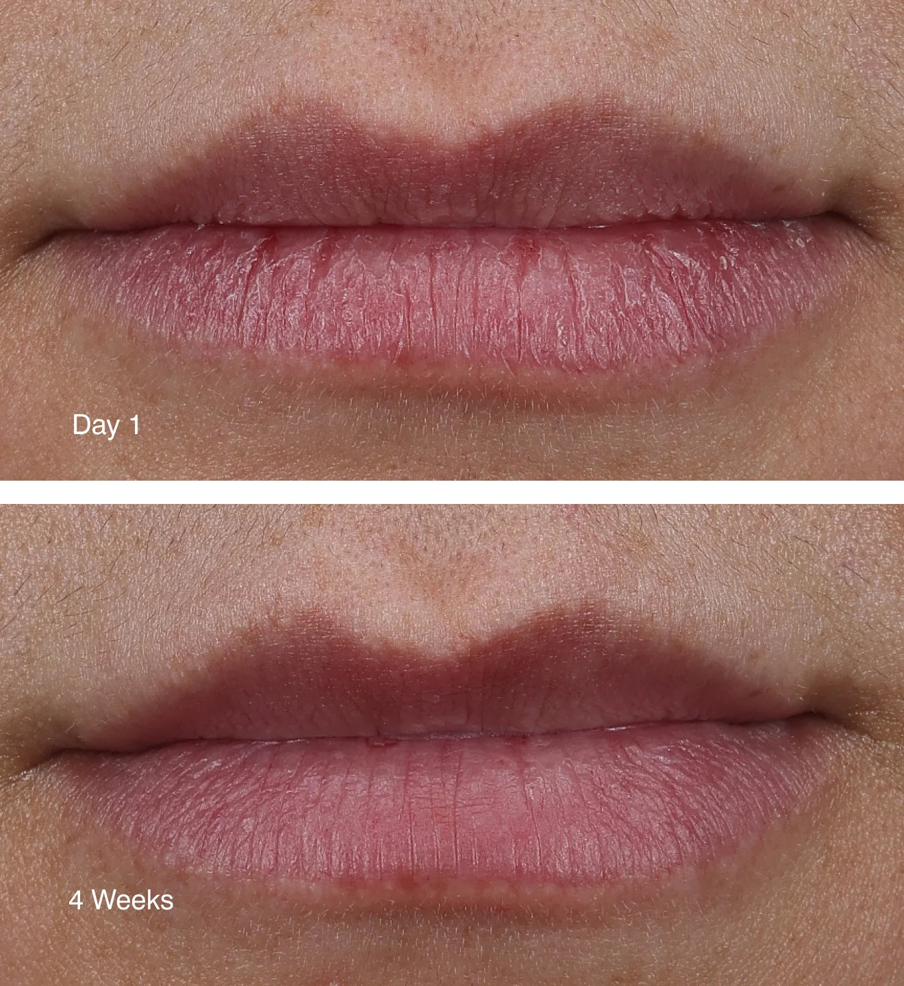 Rhode Lip Peptides
